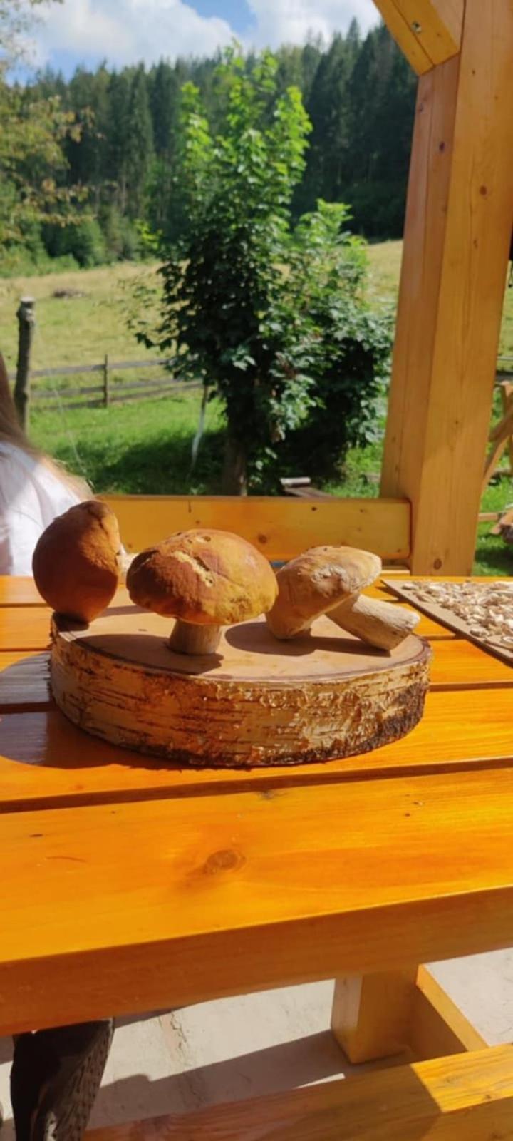 Садиба Кичера Petrashi المظهر الخارجي الصورة